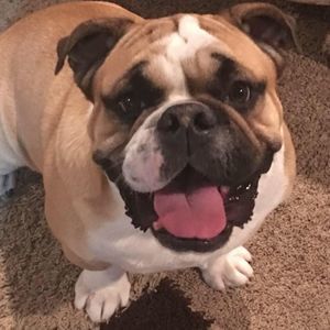 Meet your Posher, Jason